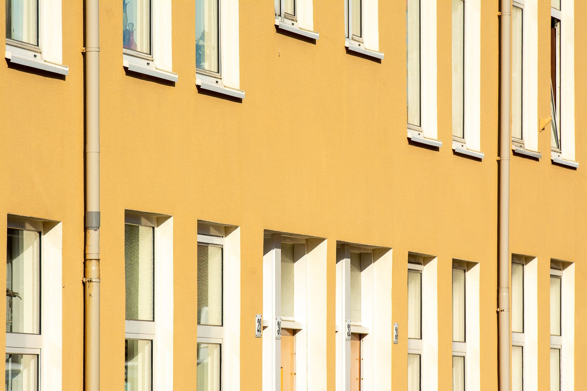 Tencuieli decorative